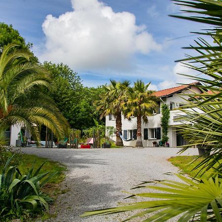 Erreka Txikia Bed & Breakfast Urrugne Dış mekan fotoğraf